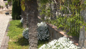 Bodas-Barcelona-jardin-37