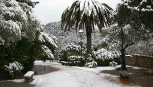 Bodas de invierno