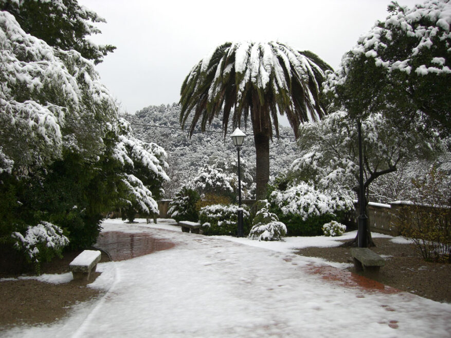 Bodas de invierno en El Paratge