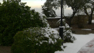 Bodas-Barcelona-mirador-14