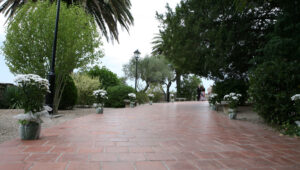 Bodas-Barcelona-mirador-5