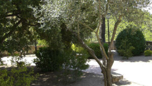 Bodas-Barcelona-mirador-9