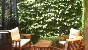 Bodas-Barcelona-patio-interior-3