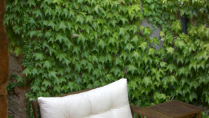 Bodas-Barcelona-patio-interior-9