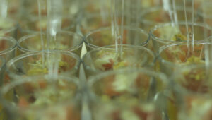 Bodas-Barcelona-Menu de boda-61