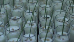 Bodas-Barcelona-Menu de boda-66