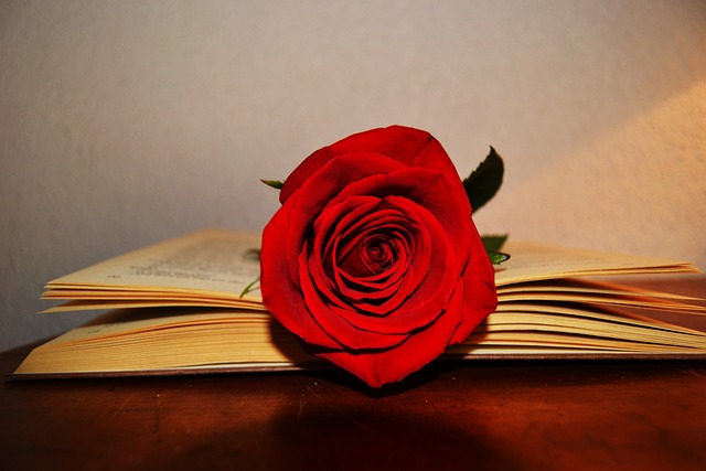 Feliz día de Sant Jordi!